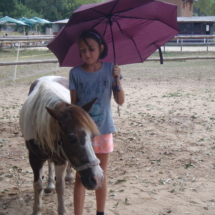 Pony škola